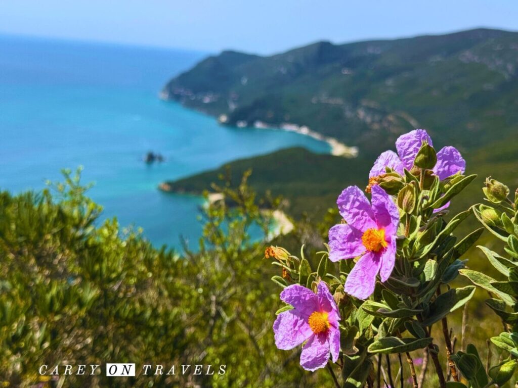 View over Portinho da Arrabida, outside of Setúbal, photo by Carey On Travels